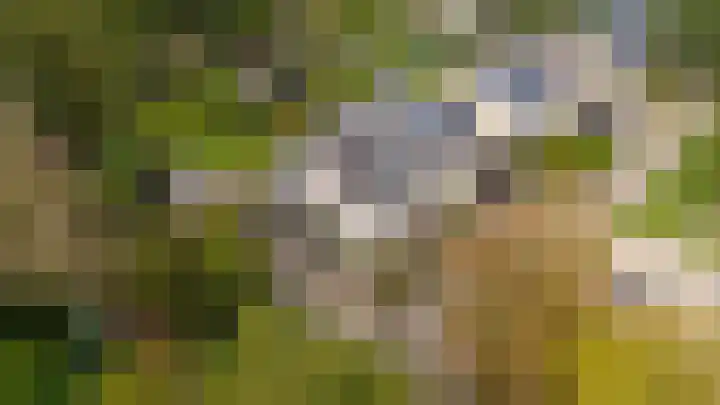 Struikstuk 48 Epe thumbnail 52