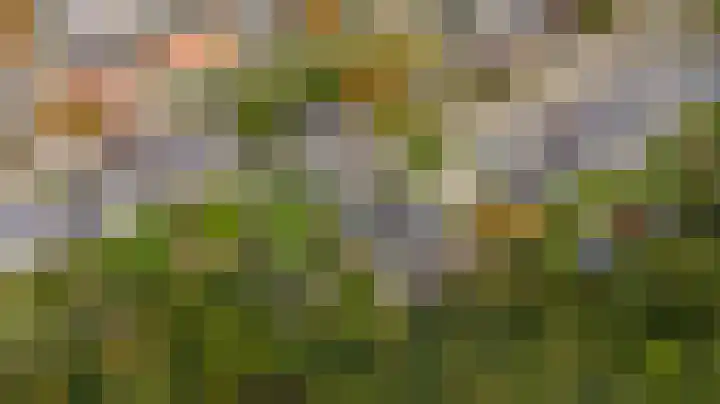 Struikstuk 48 Epe thumbnail 53