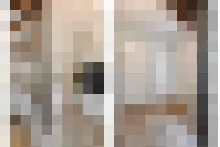 Struikstuk 48 Epe thumbnail 6