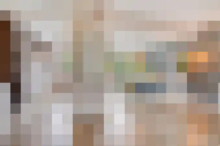 Struikstuk 48 Epe thumbnail 7