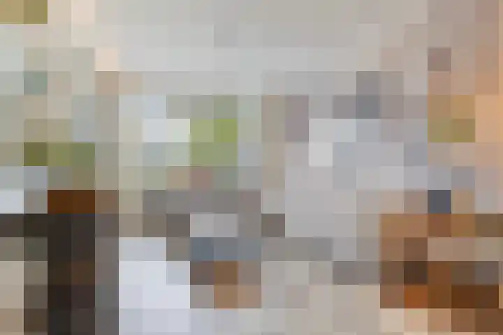 Struikstuk 48 Epe thumbnail 8