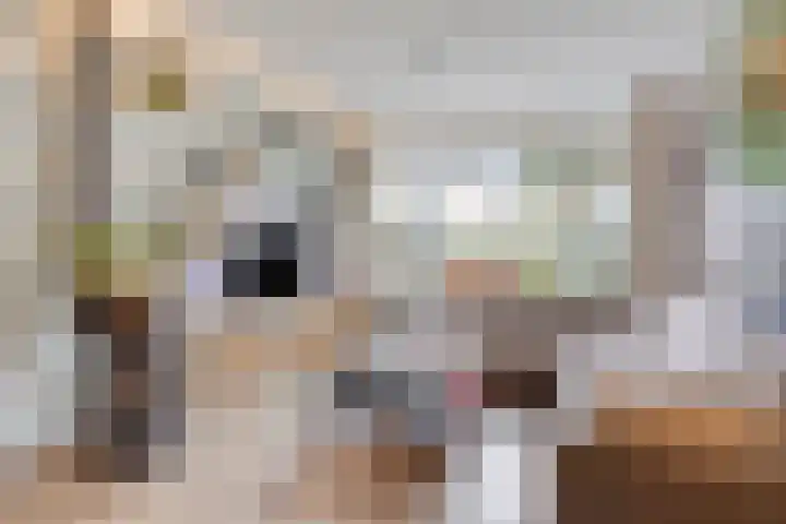 Struikstuk 48 Epe thumbnail 9