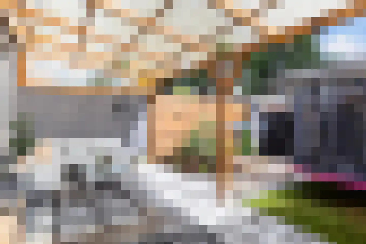 Struikstuk 57 Epe thumbnail 25
