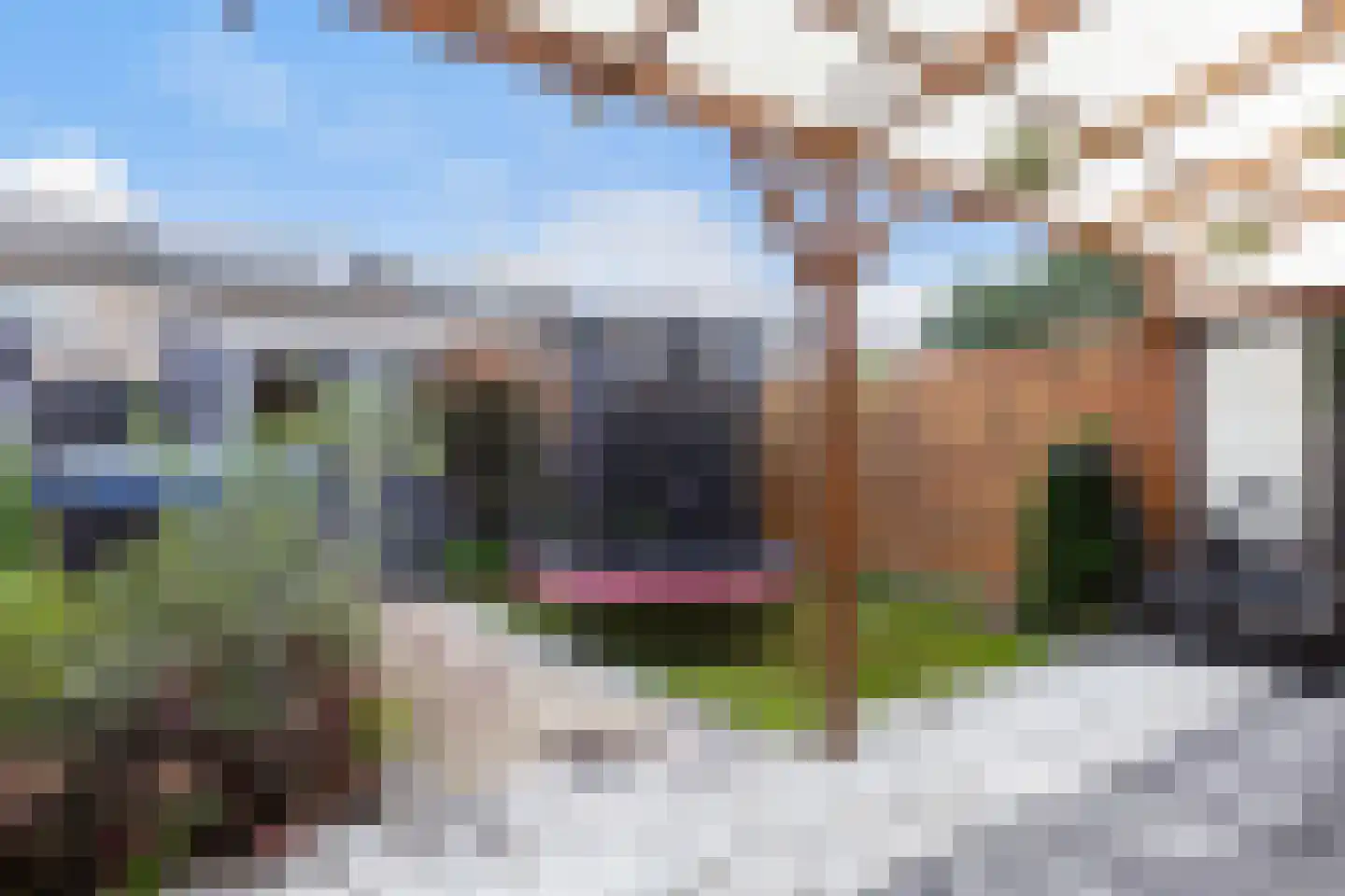 Struikstuk 57 Epe thumbnail 26
