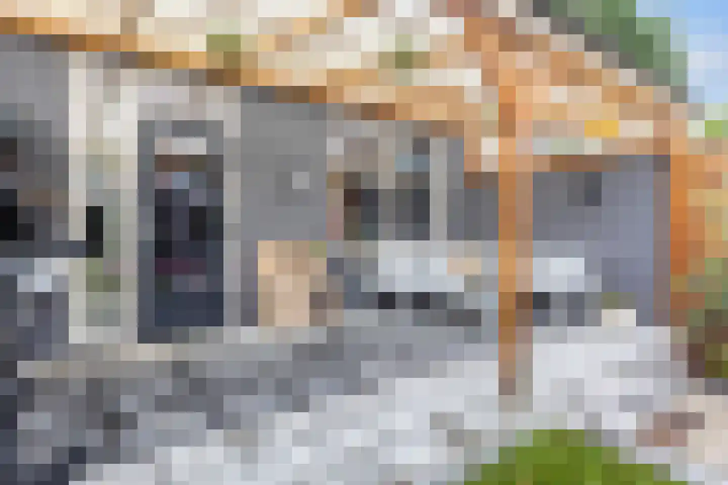 Struikstuk 57 Epe thumbnail 27