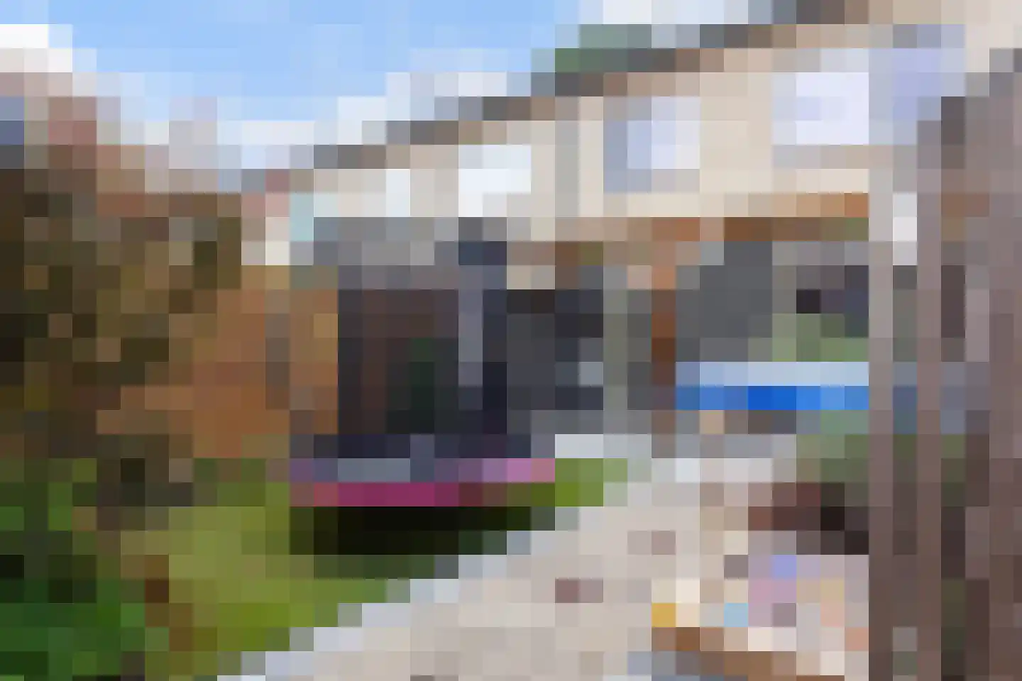 Struikstuk 57 Epe thumbnail 28