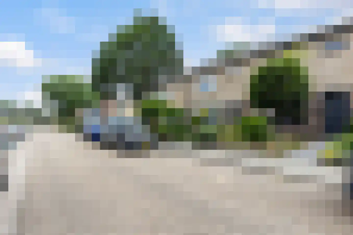 Struikstuk 57 Epe thumbnail 30