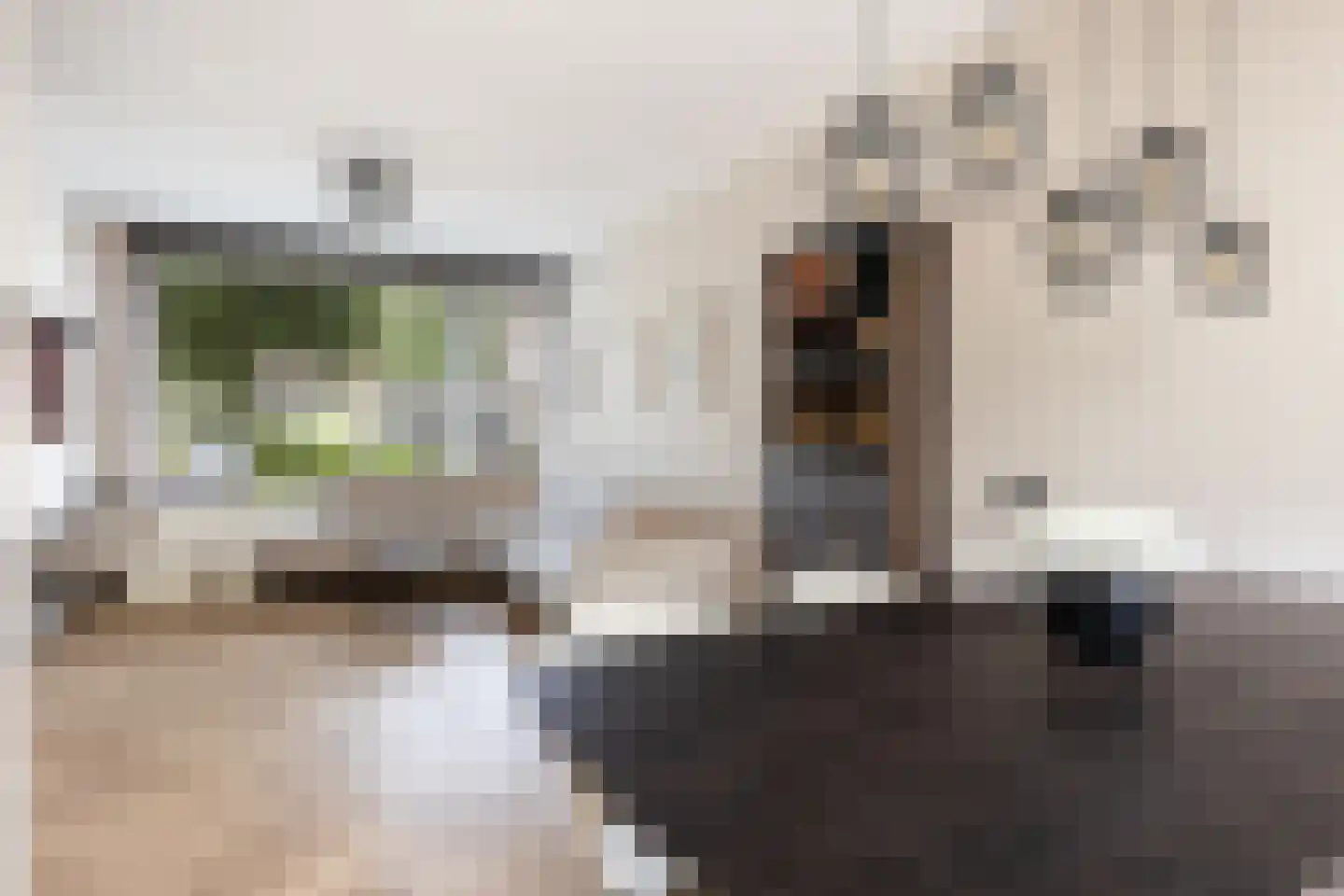 Struikstuk 57 Epe thumbnail 7