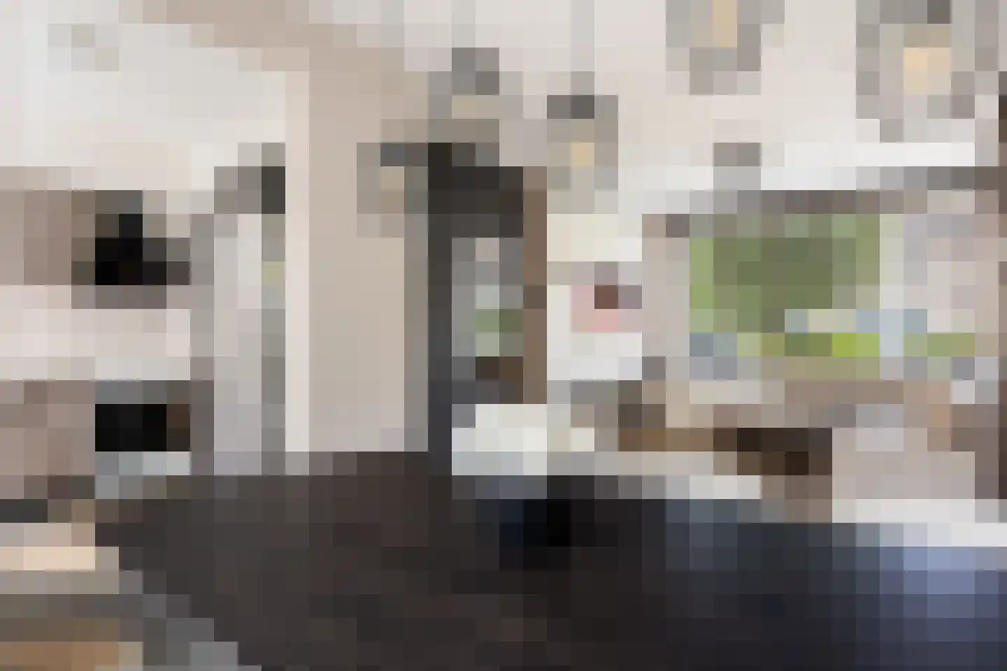 Struikstuk 57 Epe thumbnail 9