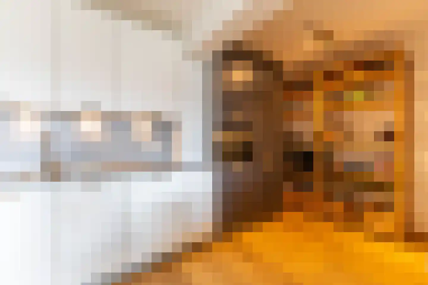 Struisenburgstraat 22 B Rotterdam thumbnail 17