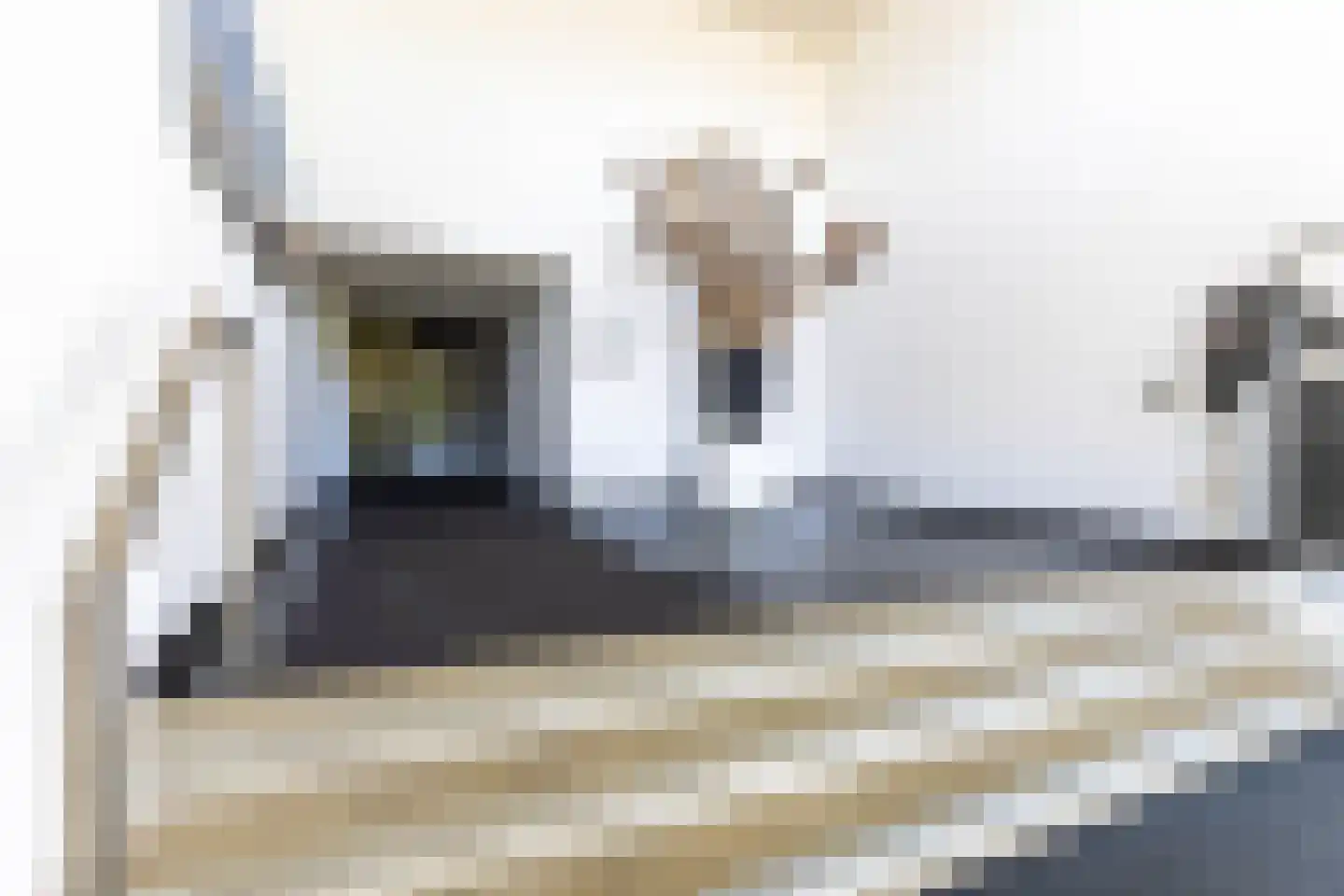 Struisenburgstraat 22 B Rotterdam thumbnail 30
