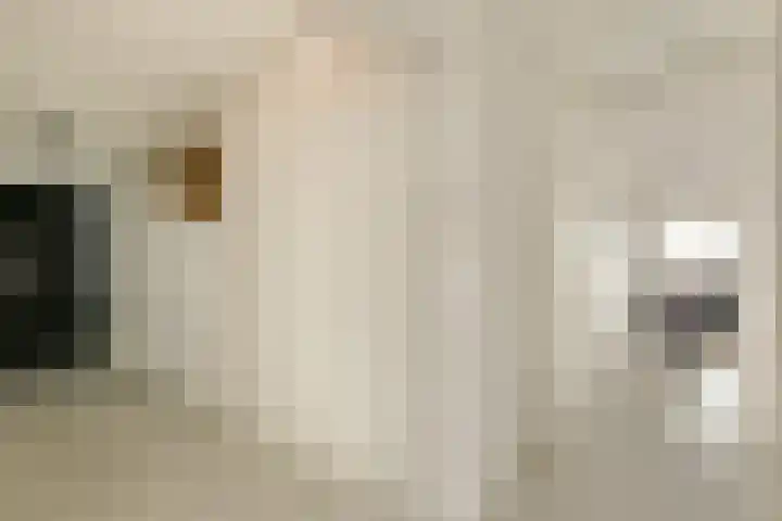 Struisenburgstraat 30 B Rotterdam thumbnail 7