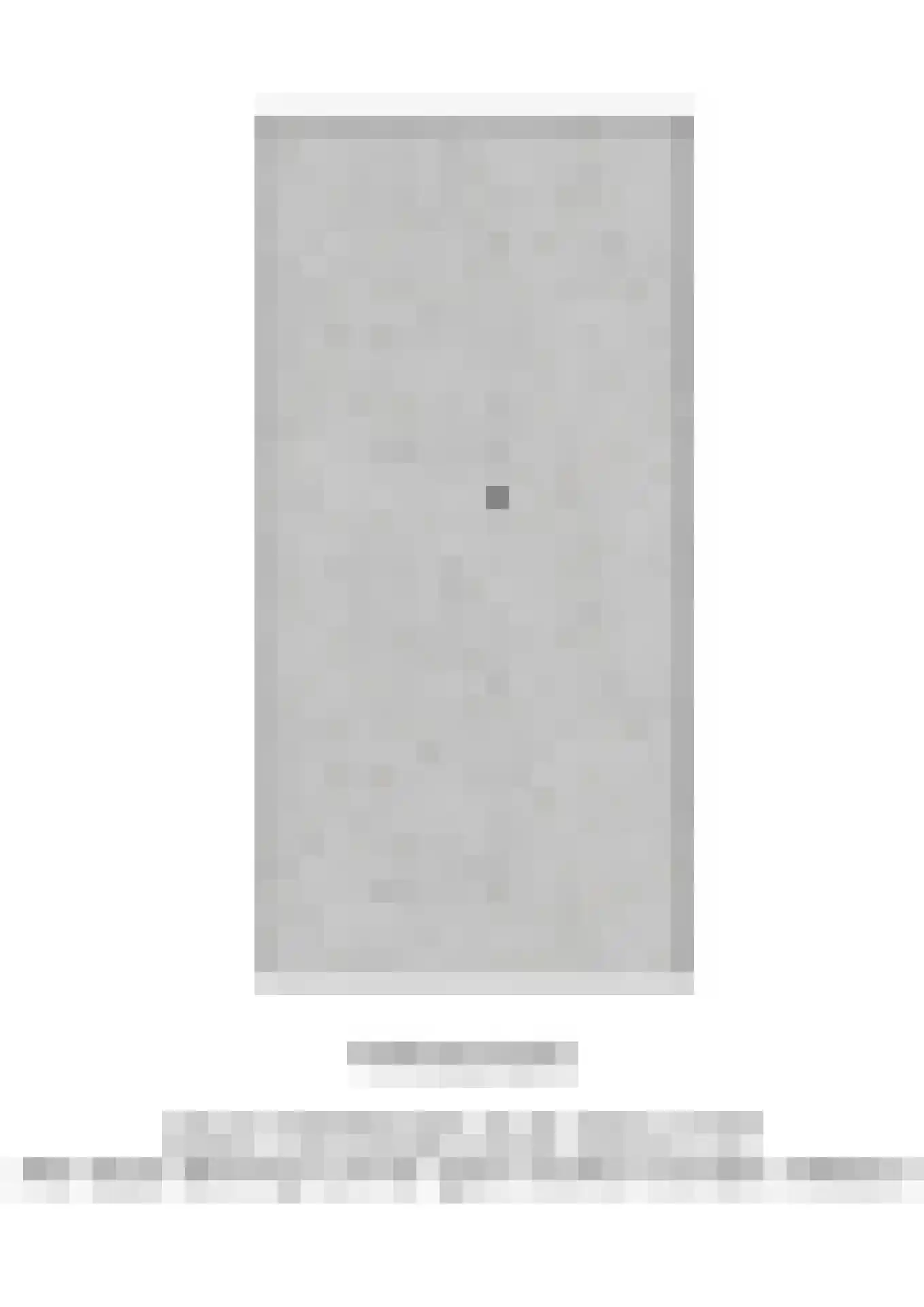 Struisenburgstraat 34 B Rotterdam thumbnail 38
