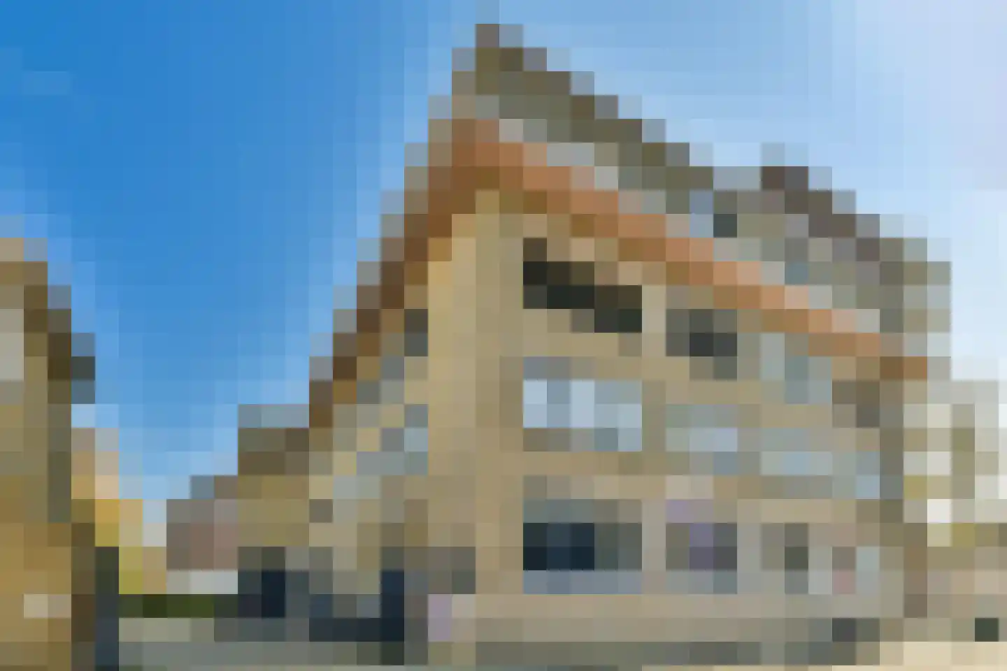Struisenburgstraat 48 C Rotterdam thumbnail 38