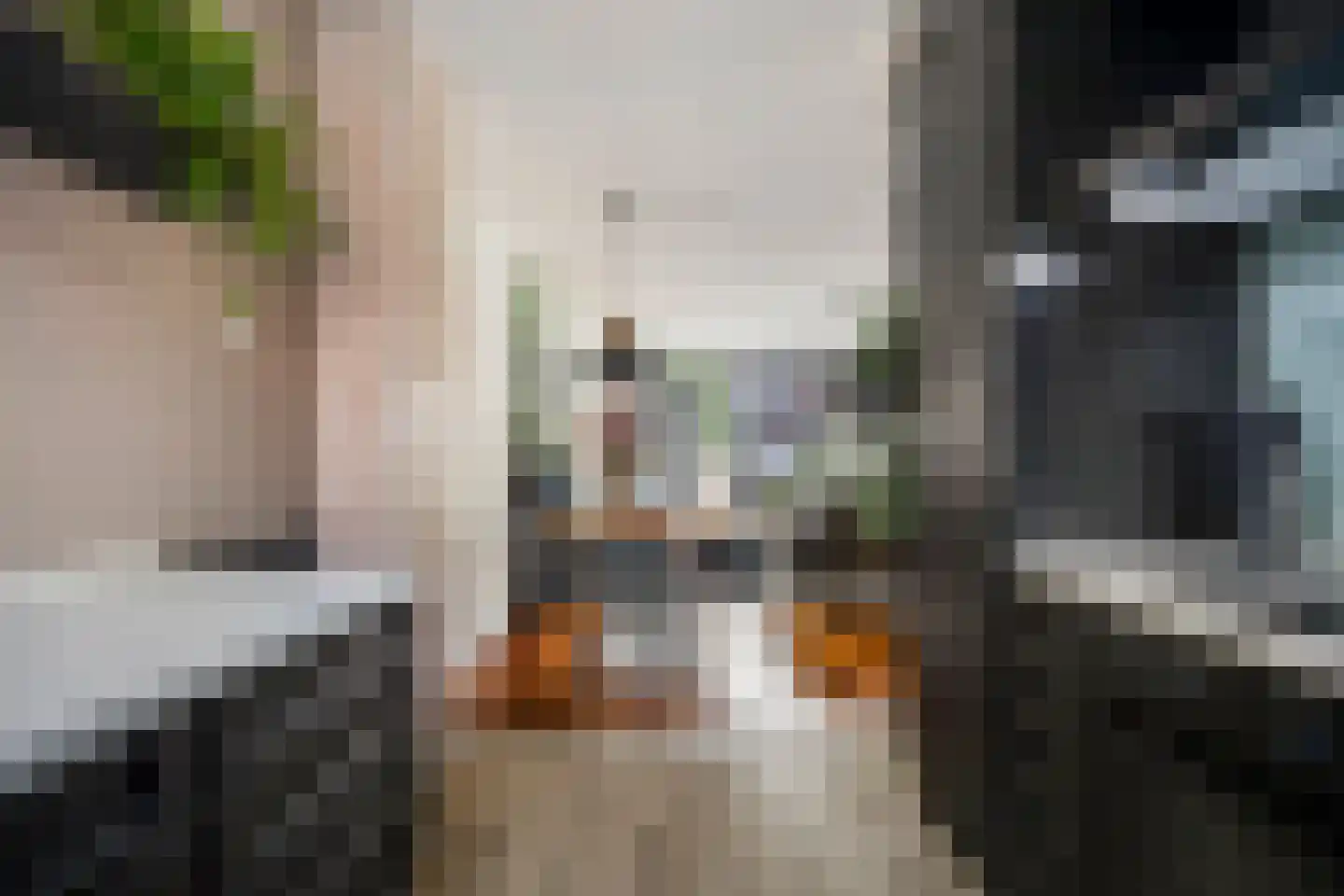 Struisgras 11 Spijkenisse thumbnail 13