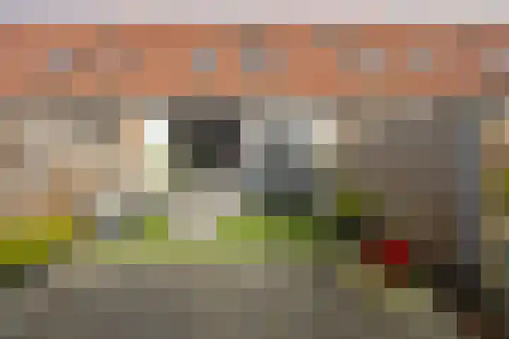 Struisgras 11 Spijkenisse thumbnail 14