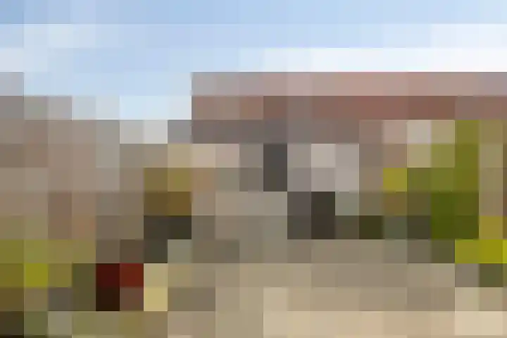 Struisgras 11 Spijkenisse thumbnail 15