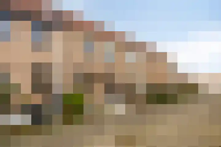 Struisgras 11 Spijkenisse thumbnail 5