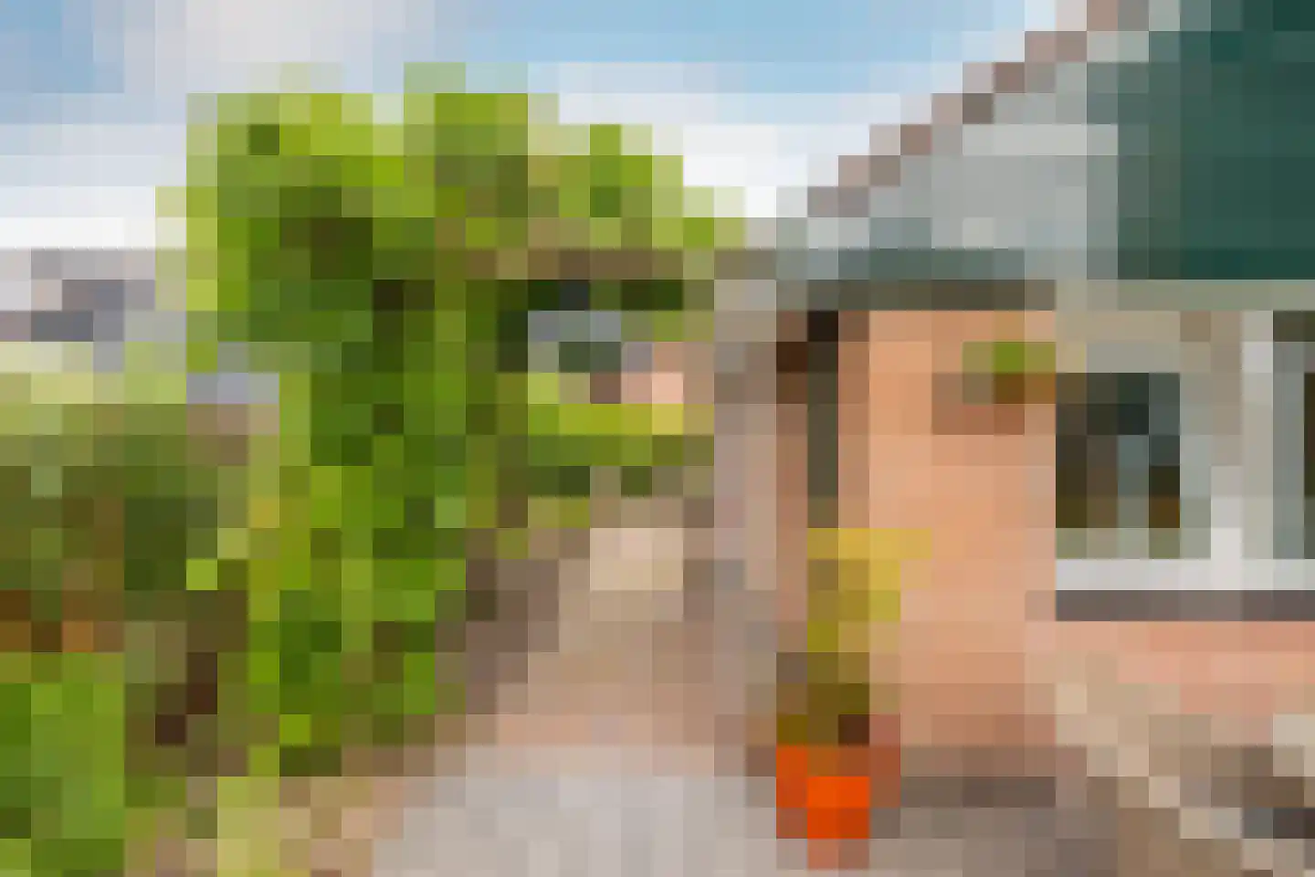 Struisgras 14 Purmerend thumbnail 37