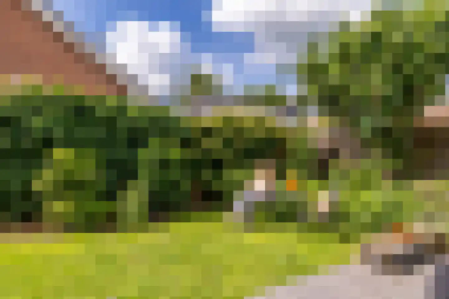 Struisgras 14 Purmerend thumbnail 9