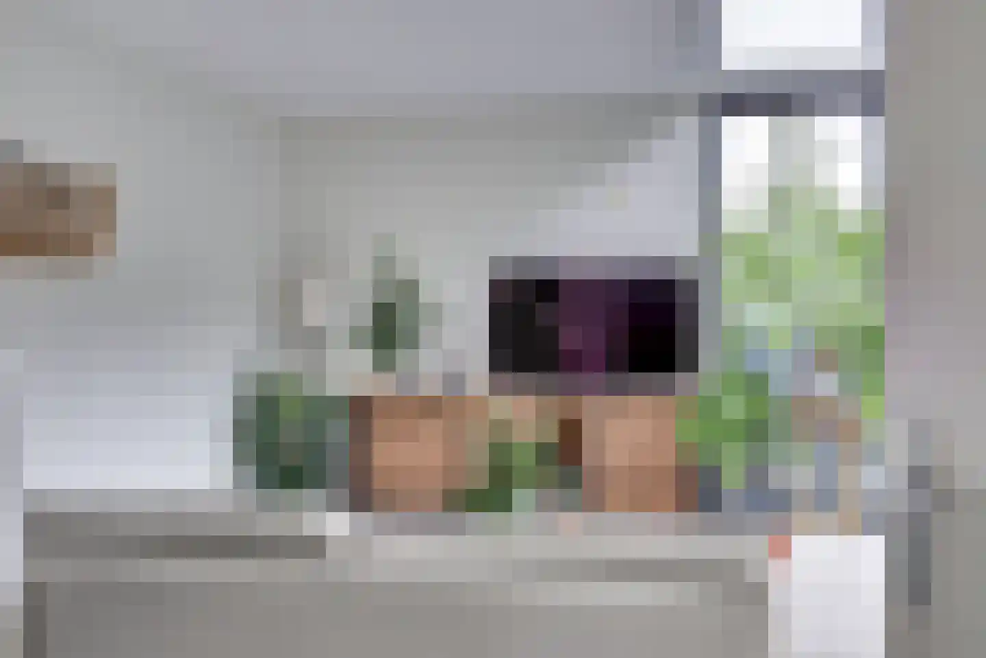Struisgras 2 Hendrik-Ido-Ambacht thumbnail 10