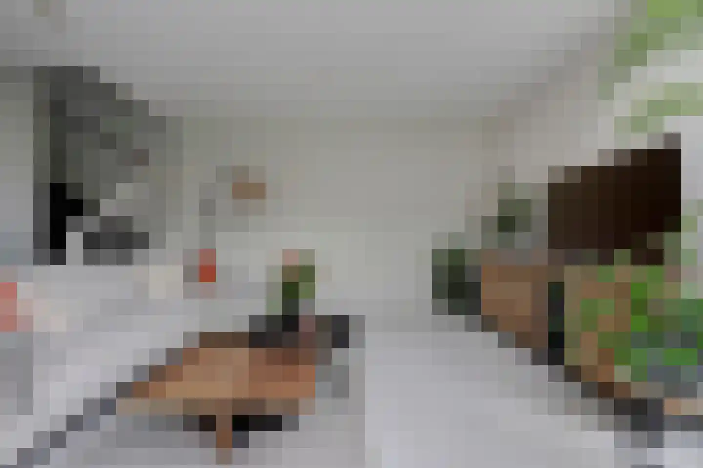 Struisgras 2 Hendrik-Ido-Ambacht thumbnail 11