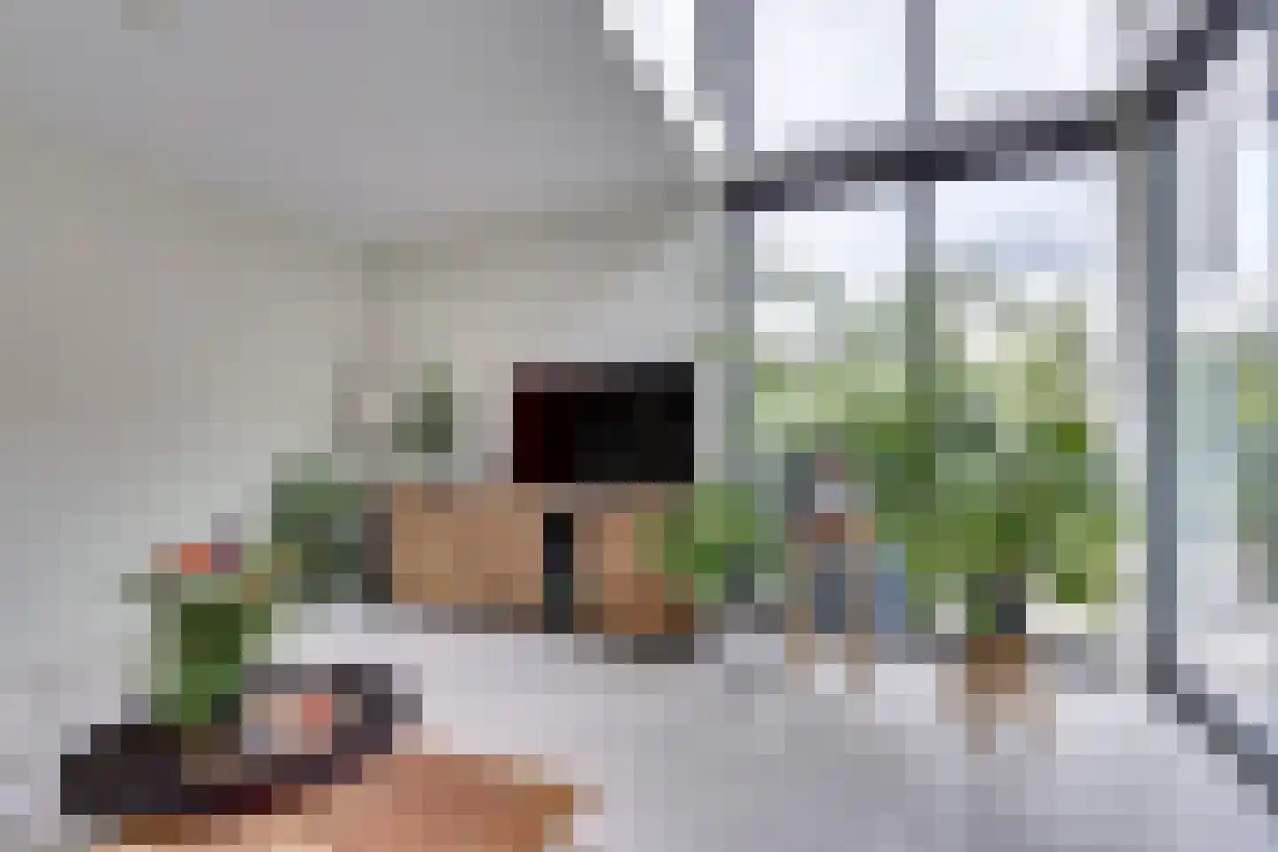 Struisgras 2 Hendrik-Ido-Ambacht thumbnail 12