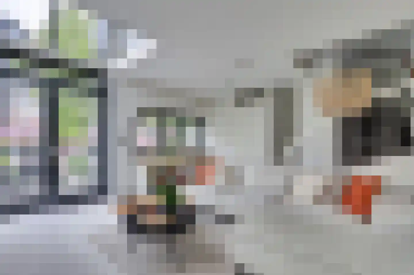 Struisgras 2 Hendrik-Ido-Ambacht thumbnail 13
