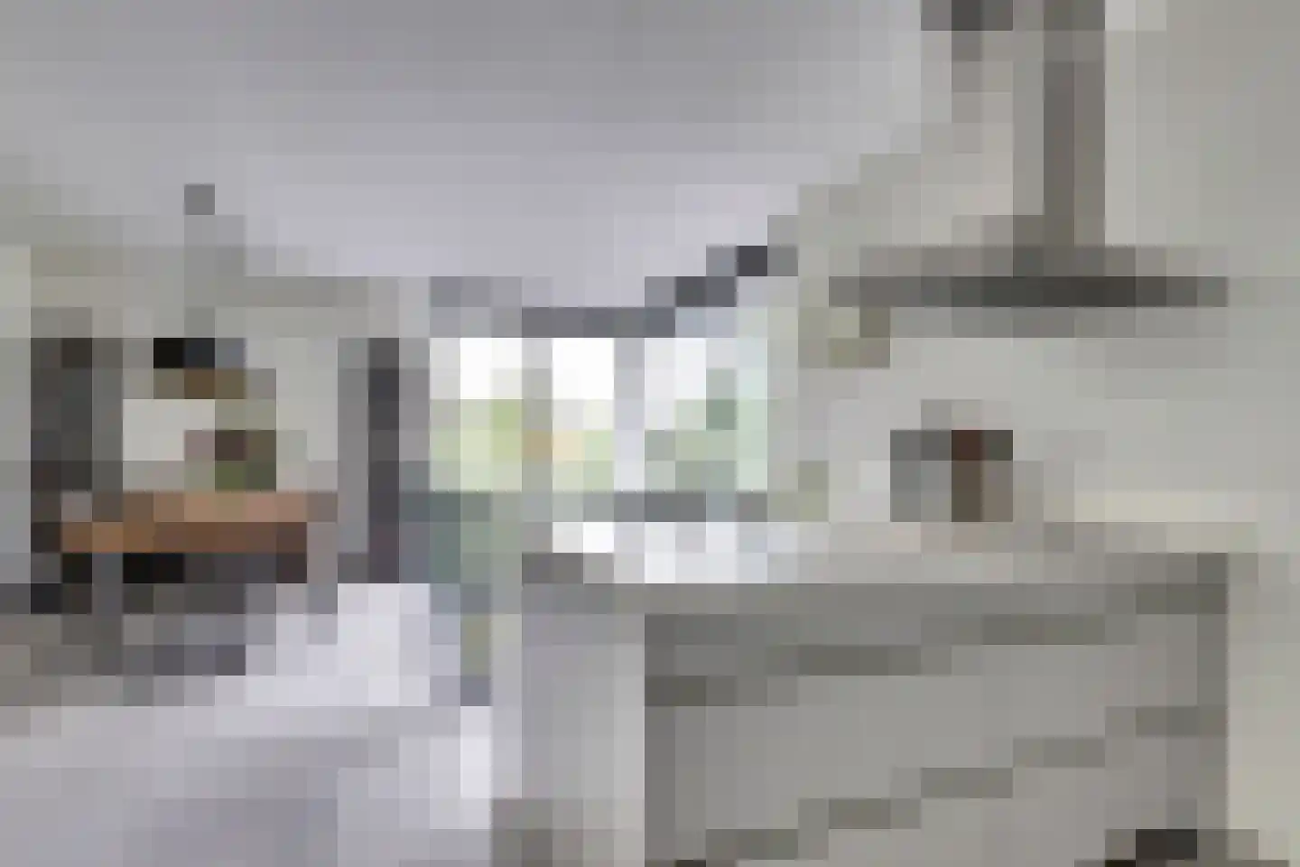 Struisgras 2 Hendrik-Ido-Ambacht thumbnail 17