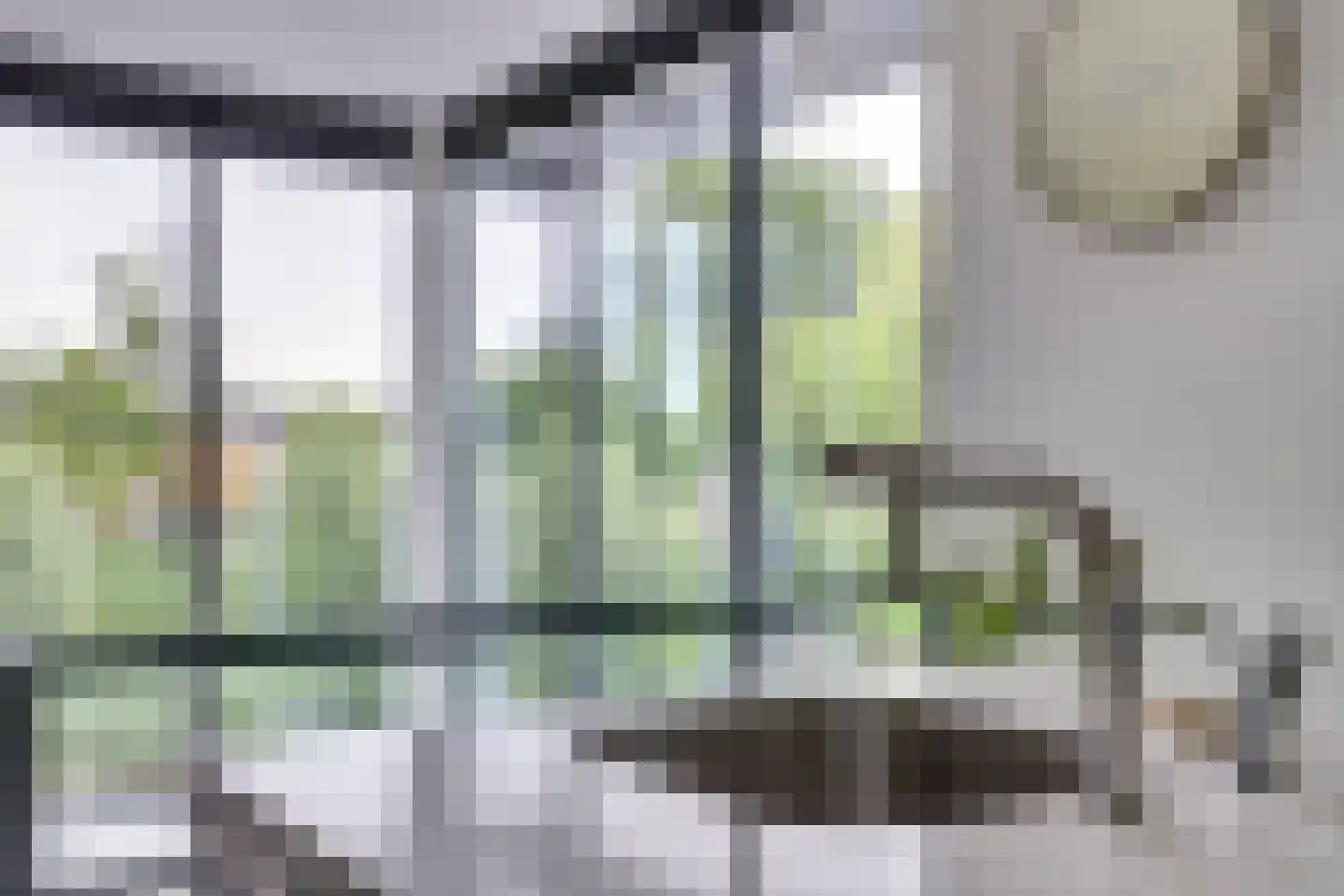 Struisgras 2 Hendrik-Ido-Ambacht thumbnail 22