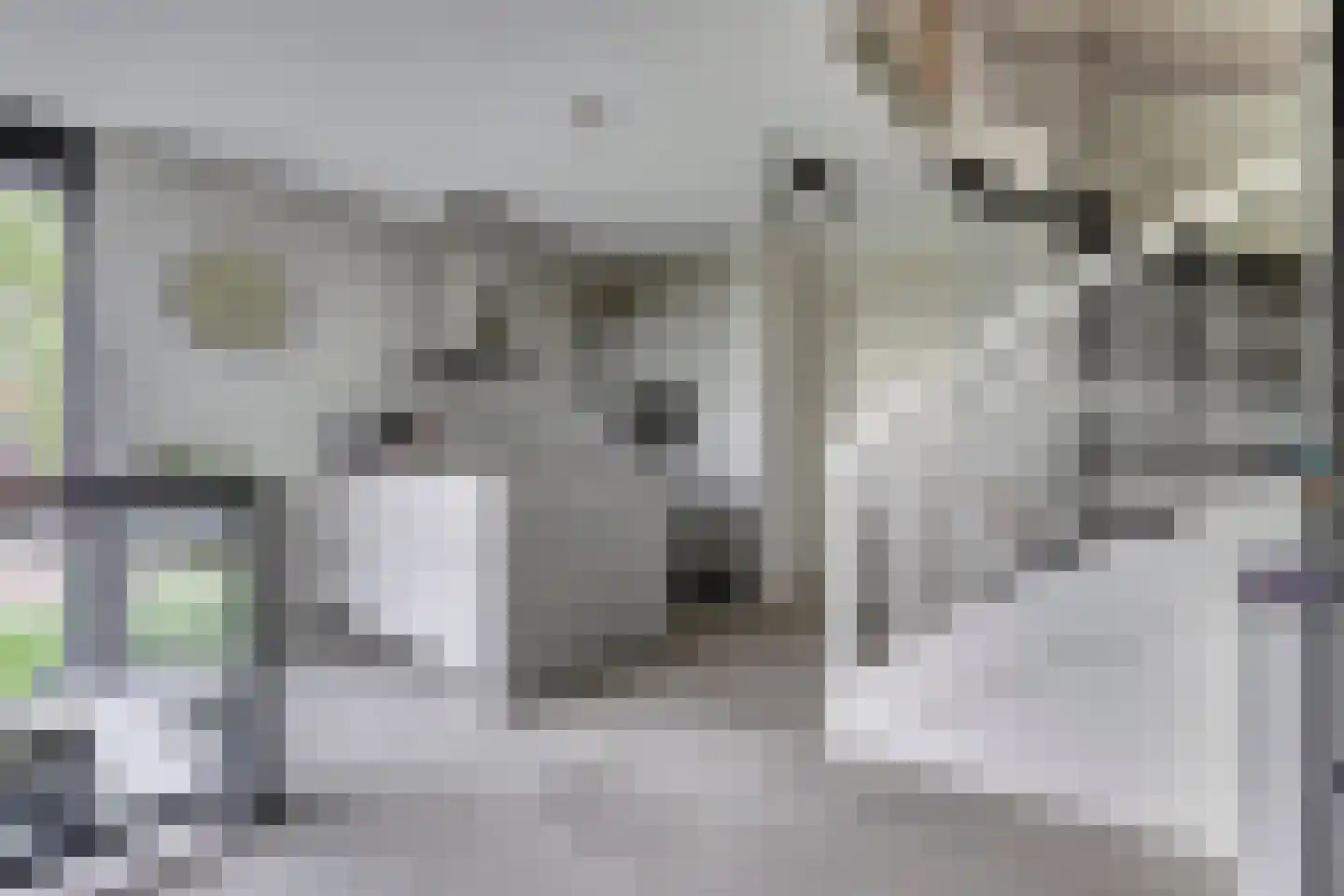 Struisgras 2 Hendrik-Ido-Ambacht thumbnail 24