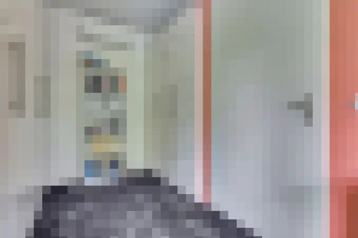 Struisgras 2 Hendrik-Ido-Ambacht thumbnail 30