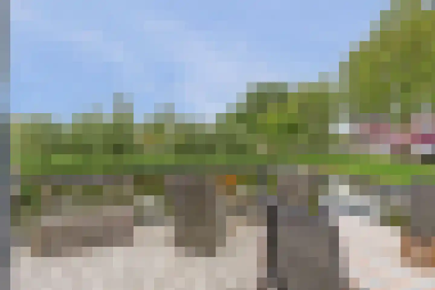 Struisgras 2 Hendrik-Ido-Ambacht thumbnail 38