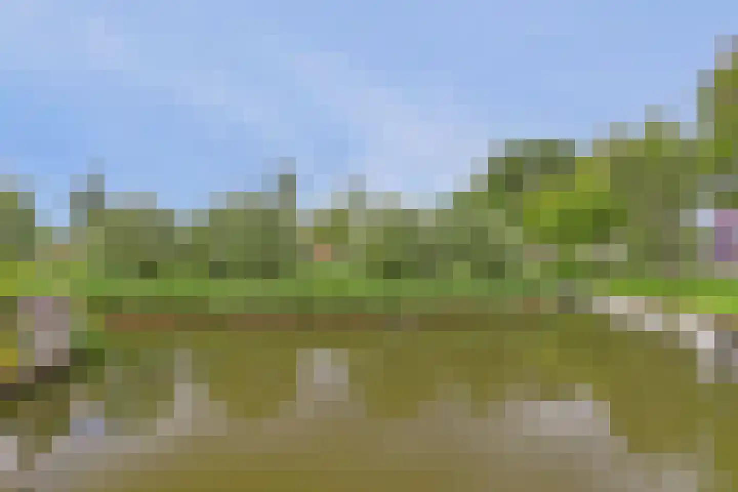 Struisgras 2 Hendrik-Ido-Ambacht thumbnail 42