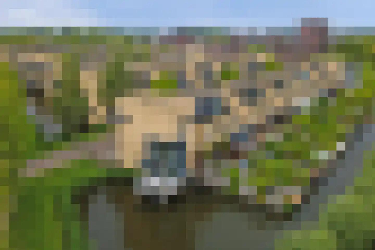 Struisgras 2 Hendrik-Ido-Ambacht thumbnail 5