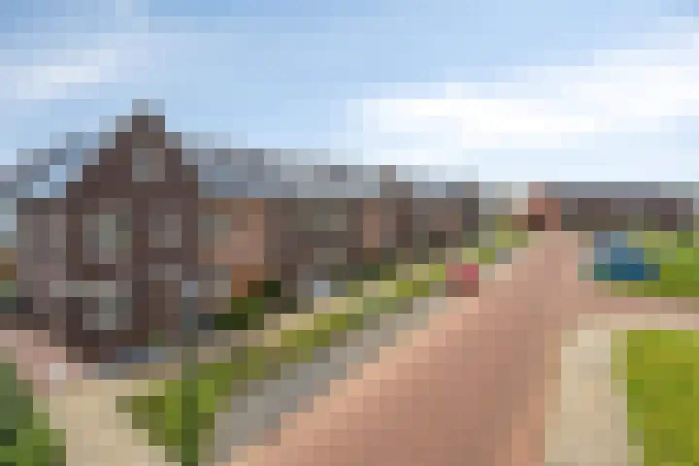 Struisgras 21 Heesch thumbnail 8