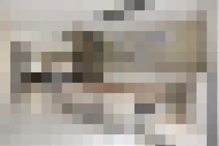 Struisgras 21 Hendrik-Ido-Ambacht thumbnail 12