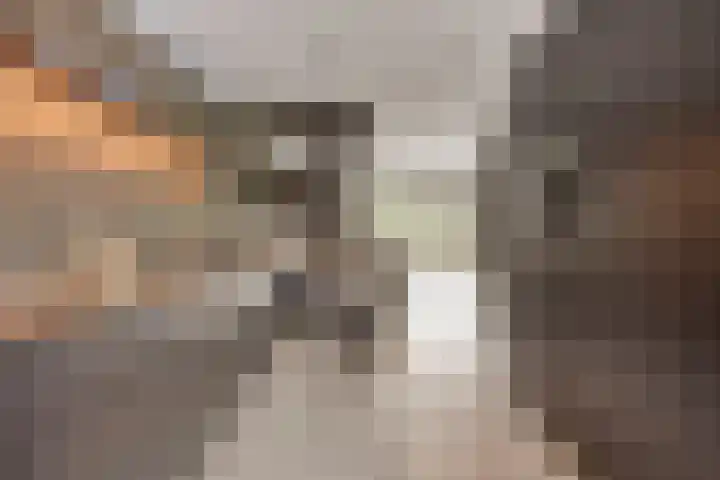 Struisgras 21 Hendrik-Ido-Ambacht thumbnail 17