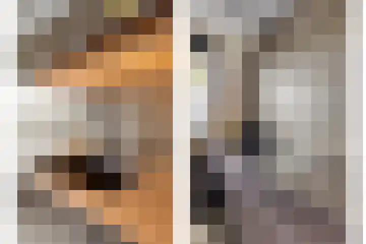Struisgras 21 Hendrik-Ido-Ambacht thumbnail 20