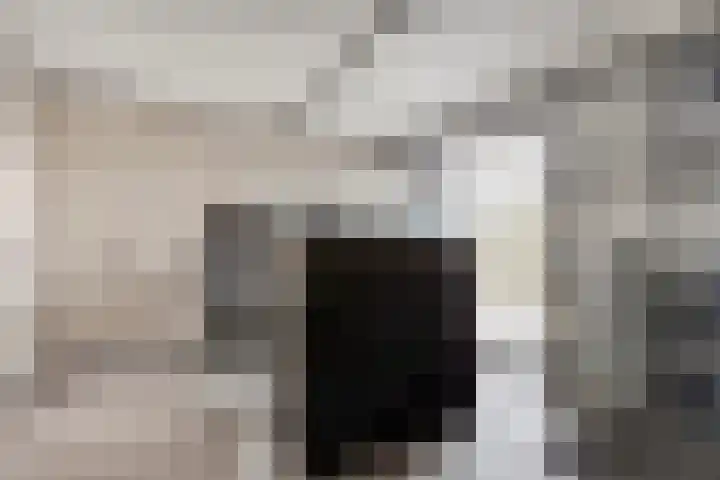 Struisgras 21 Hendrik-Ido-Ambacht thumbnail 21