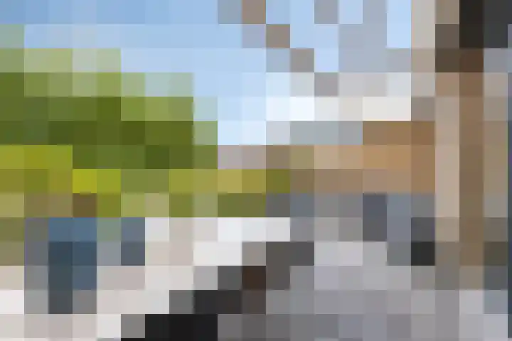 Struisgras 21 Hendrik-Ido-Ambacht thumbnail 26