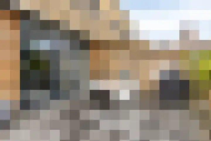 Struisgras 21 Hendrik-Ido-Ambacht thumbnail 28