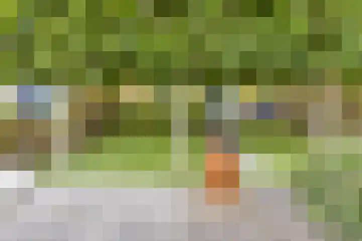 Struisgras 21 Hendrik-Ido-Ambacht thumbnail 30