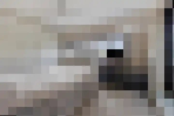 Struisgras 21 Hendrik-Ido-Ambacht thumbnail 33