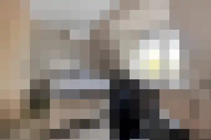 Struisgras 21 Hendrik-Ido-Ambacht thumbnail 39