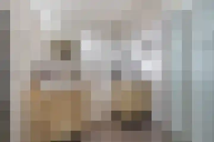 Struisgras 21 Hendrik-Ido-Ambacht thumbnail 41