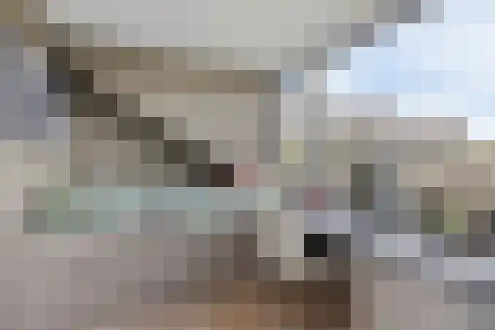 Struisgras 21 Hendrik-Ido-Ambacht thumbnail 46
