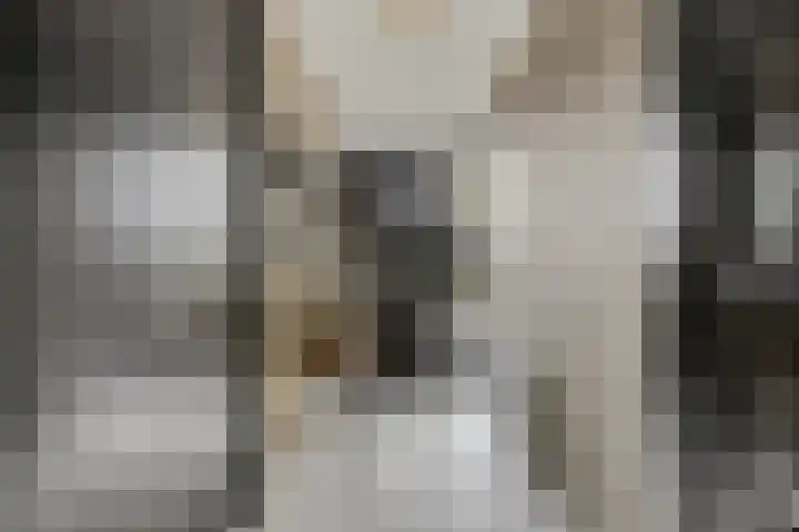 Struisgras 21 Hendrik-Ido-Ambacht thumbnail 5