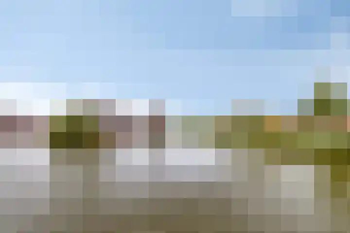 Struisgras 21 Hendrik-Ido-Ambacht thumbnail 50