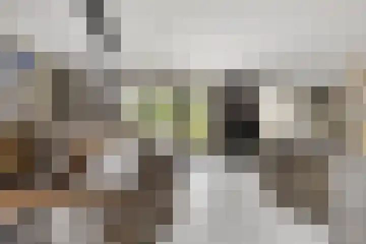 Struisgras 21 Hendrik-Ido-Ambacht thumbnail 7